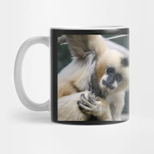 White-Cheeked Gibbon Mug